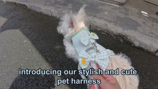 Pet Harness Set: Stylish and Breathable