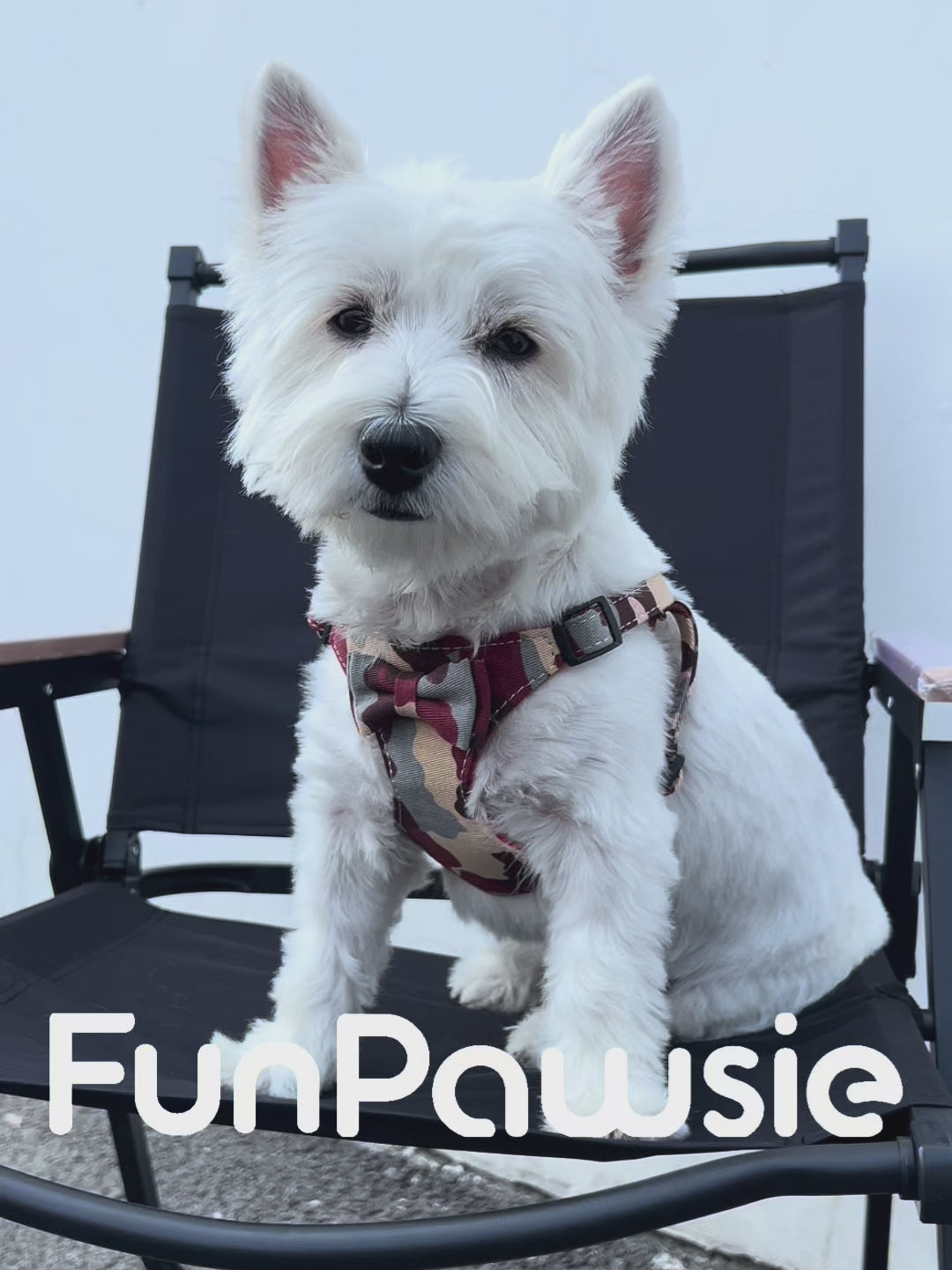 Camouflage Bowknot Pet Harness Set: Urban Soldier Series